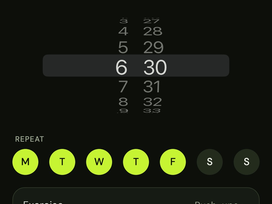 Setting an alarm in RepDawn